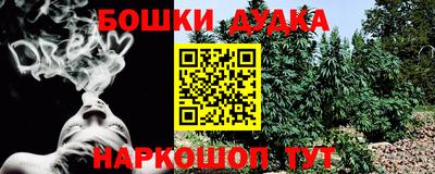 тгк Сланцы