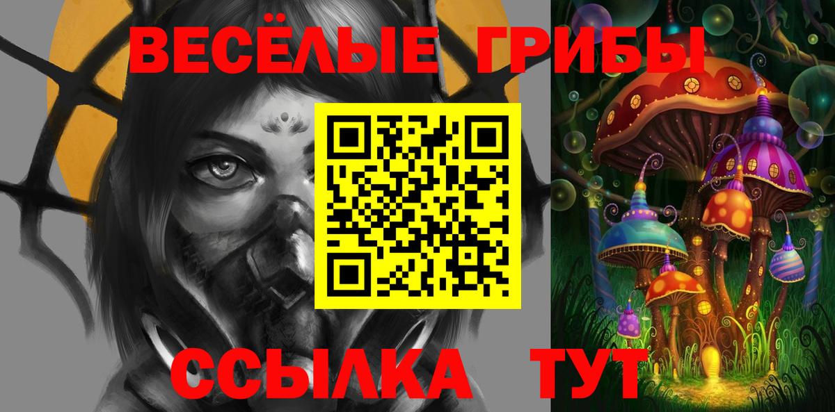 Рыбинск  Галлюциногенные грибы Cubensis  Вход с VPN 
